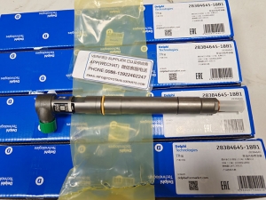 28384645,Delphi Fuel Injectors for SSANGYONG Pickup Truck